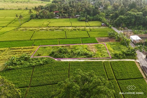 Image 2 from Dijual tanah 10 are dengan pemandangan sawah di Kedungu