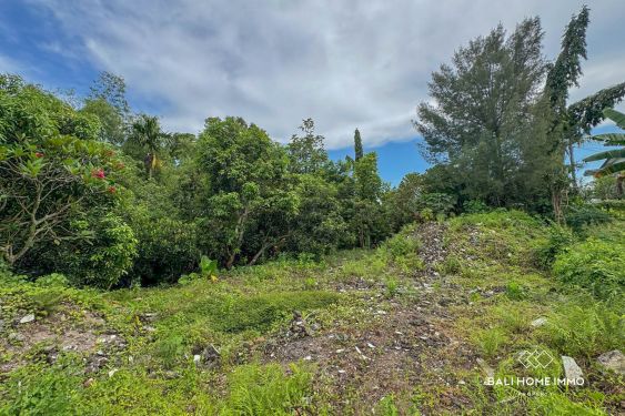Image 3 from Dijual tanah 18.75 are dengan pemandangan sawah di Canggu Utara