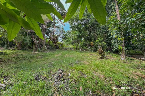 Image 2 from Dijual tanah 18.75 are dengan pemandangan sawah di Canggu Utara