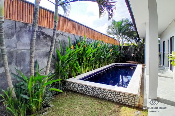Image 2 from Villa 2 Kamar Disewakan di Padonan Canggu Bali