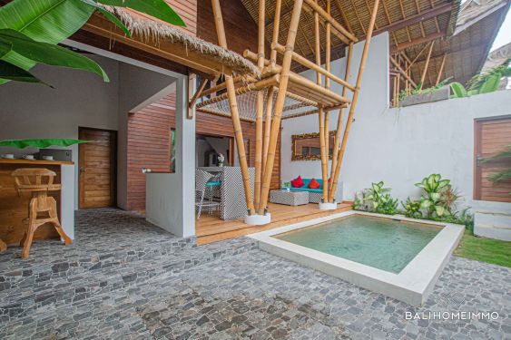 Image 3 from Vila 2 Kamar Tidur Dijual dan Disewakan di Canggu Berawa