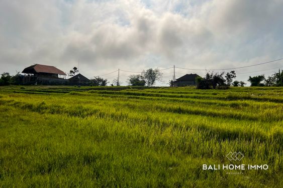 Image 2 from TANAH PEMANDANGAN SAWAH DISEWAKAN DI NYANYI DEKAT PANTAI
