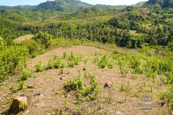 Image 3 from 20 ares au sommet d'une colline avec vue sur l'océan à vendre dans l'ouest de Lombok