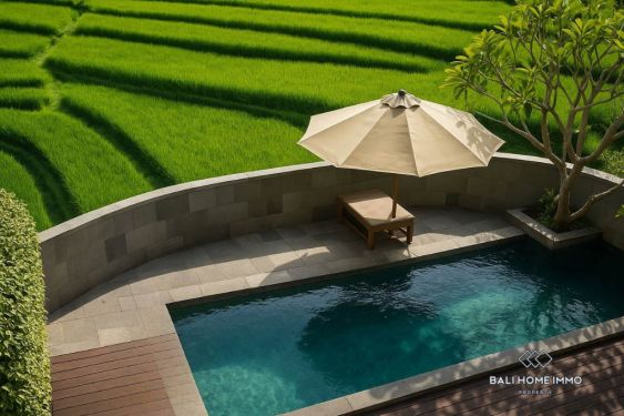 Image 2 from 3 Bedroom Villa for Yearly Rental near Cemagi Beach
