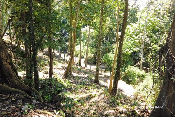Image 3 from 33 Are River Side Land for Sale in Cepaka