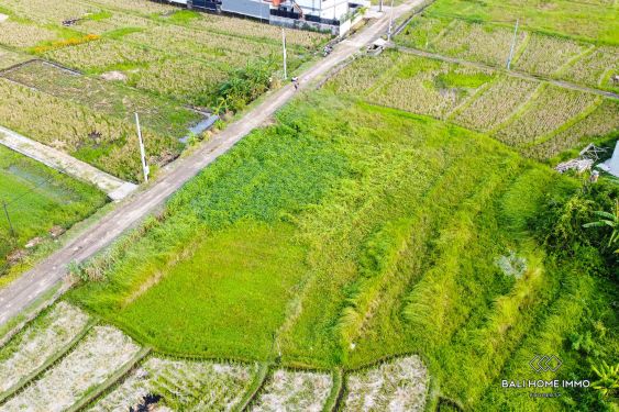 Image 2 from Tanah View Sawah Seluas 4.2 Are Disewakan Dekat Pantai Seseh