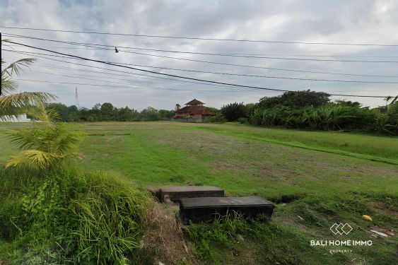 Image 3 from Dikontrakkan tanah 42 are pinggir jalan di Buwit Tabanan Bali