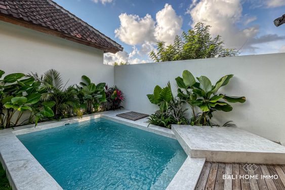 Image 3 from VILLA INVESTASI 6 KAMAR TIDUR DIJUAL DI ULUWATU DEKAT PANTAI BINGIN