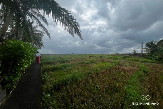 Image 2 from 62 are tanah pinggir pantai dijual hak guna usaha di Pantai Pasut Tabanan