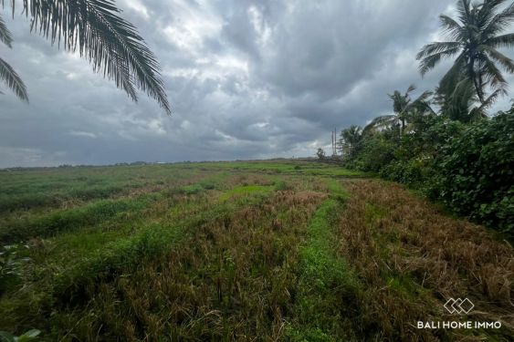 Image 3 from 62 are tanah pinggir pantai dijual hak guna usaha di Pantai Pasut Tabanan