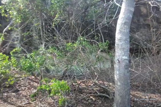Image 2 from Beachfront Land for Sale Freehold in Sumbawa