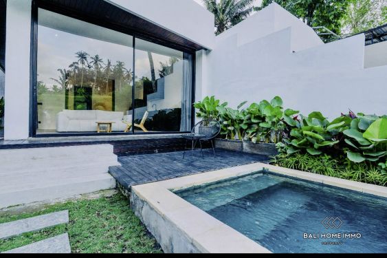 Image 2 from Villa baru Pinggir Sungai Modern 1 Kamar Dijual di Ubud Bali