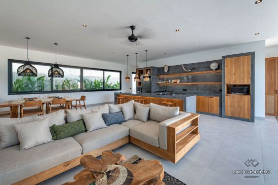 Image 2 from Brand new 2 Bedroom villa for rental in Pererenan Tumbak Bayuh Bali
