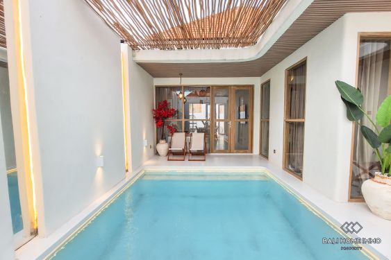 Image 2 from Villa 2 Kamar Baru untuk Disewa di Sisi Perumahan Seminyak