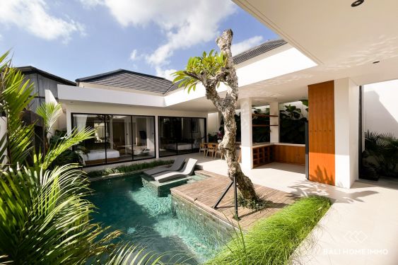 Image 2 from Dijual Vila Baru 2 Kamar di Canggu Utara Bali