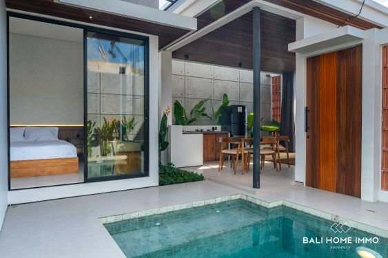Image 1 from Villa neuve de 2 chambres à vendre en location à Seminyak, Bali