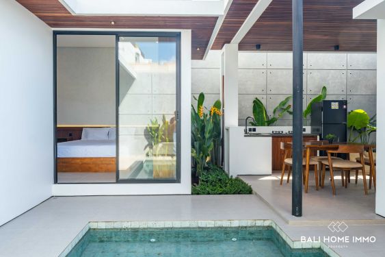 Image 2 from Villa neuve de 2 chambres à vendre en location à Seminyak, Bali