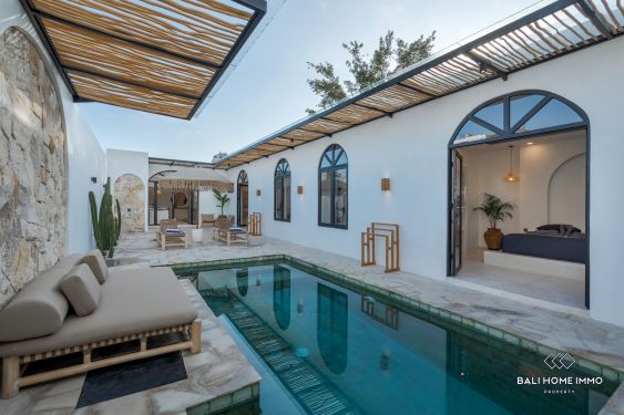 Image 1 from Brand New 2 bedrooms villa for sale and rent in Bali Canggu Padonan