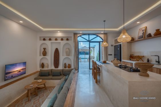 Image 3 from Brand New 2 bedrooms villa for sale and rent in Bali Canggu Padonan
