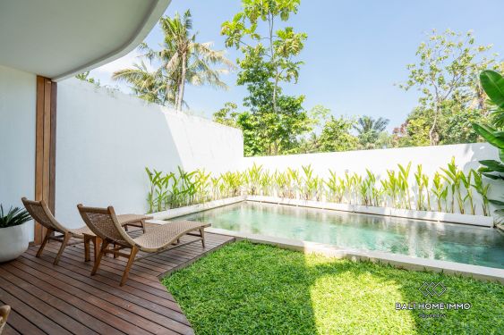 Image 2 from VILLA TOUT NEUF DE 3 CHAMBRES À VENDRE EN LOCATION À BALI KEDUNGU