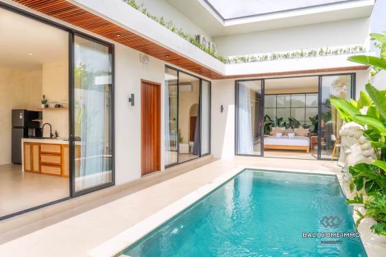 Image 3 from BREEZY MODERN TROPICAL 2-BEDROOM VILLA FOR RENT IN UNGASAN