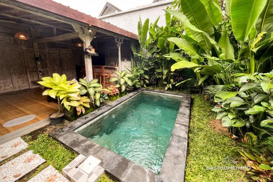 Image 1 from Disewakan villa joglo 2 Kamar Tidur di Kerobokan Bali