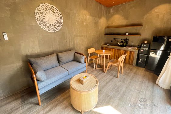 Image 2 from Compact 1 Bedroom Villa in Seminyak Residential Side