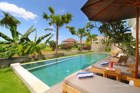 Image 2 from Ricefield view 4 bedroom villa with garden for rent in Berawa