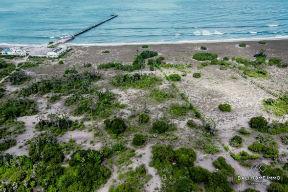 Image 3 from Beachfront land for sale freehold in East Sumba