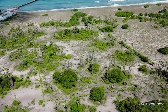 Image 2 from Beachfront land for sale freehold in East Sumba