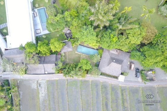 Image 2 from Terrains 6.7 ares avec villas joglo à vendre en leasehold à Bali Pererenan