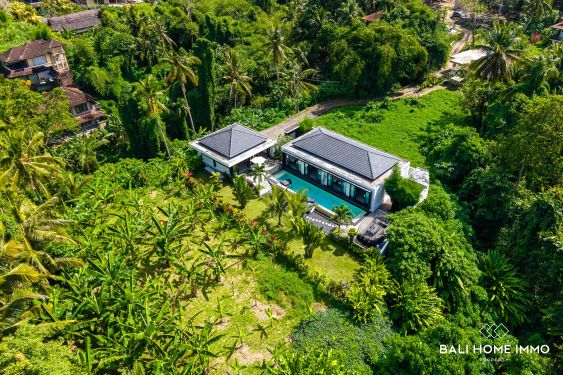 Image 3 from Dijual villa modern 4 kamar dengan taman luas di Bali Ubud