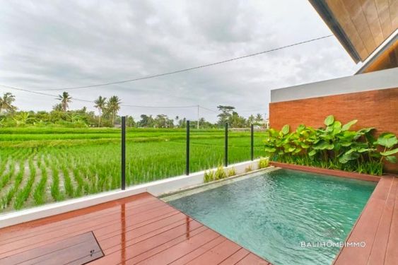 Image 2 from Villa moderne de 2 chambres avec vue sur les rizières à louer à Lodtunduh Ubud