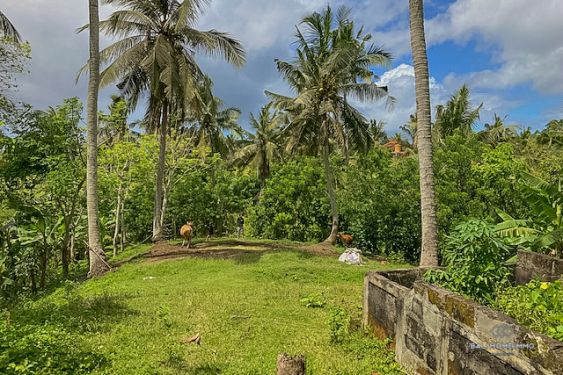 Image 2 from Tanah Pemandangan Sawah Dekat Pantai Dijual Hak Milik di Bali Pantai Balian