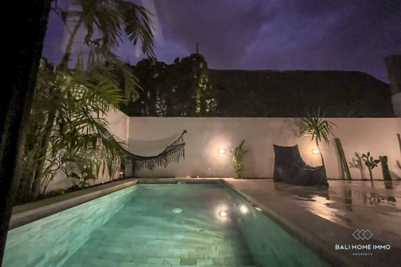 Image 2 from Disewakan Villa 1 Kamar Tidur Baru di Pererenan Bali