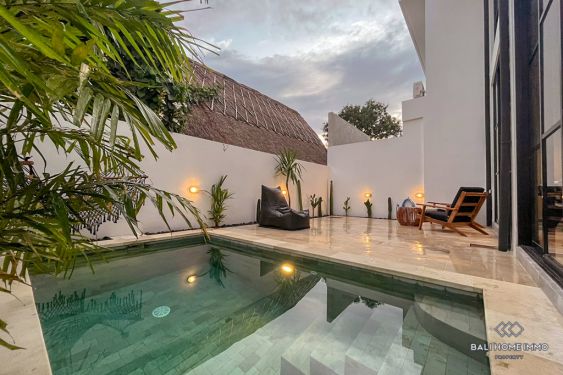 Image 3 from Disewakan Villa 1 Kamar Tidur Baru di Pererenan Bali