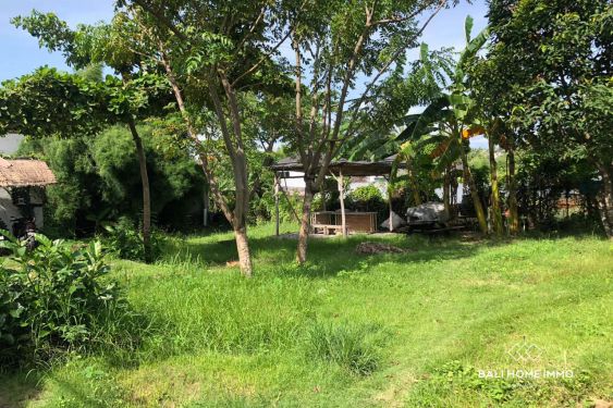 Image 2 from Dijual Tanah Langka 4,8 Are di Umalas