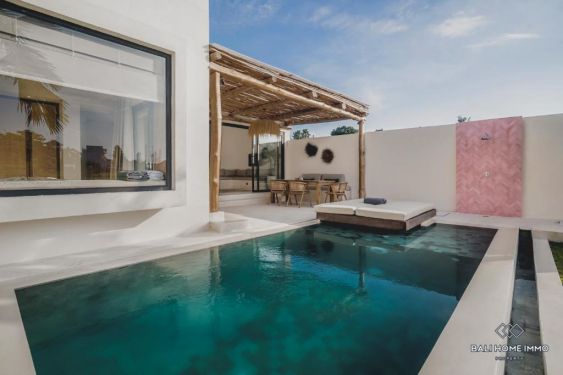 Image 3 from 2 Bedroom Villa for Yearly Rental in Bali Canggu Babakan