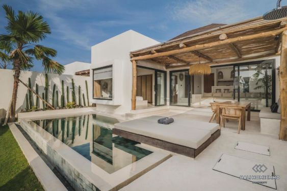 Image 2 from 2 Bedroom Villa for Yearly Rental in Bali Canggu Babakan