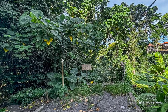 Image 2 from Dijual tanah dengan pemandangan sungai dan hutan di Bali - Tumbak Bayuh