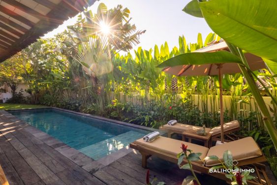 Image 2 from Serene Tropical 3 Bedroom Villa for rent in Canggu Babakan