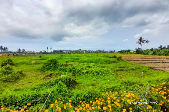 Image 3 from Street front 40 Are Land in Touristic Zone For Sale near Kedungu Beach Bali