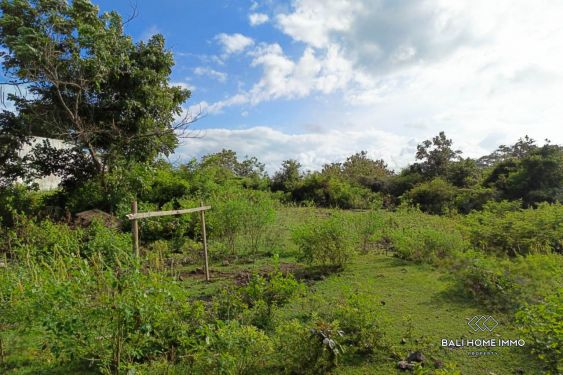 Image 3 from Stunning Touristic Zoning Land for Sale Leasehold in Balangan with Ocean View and Natural Serenity
