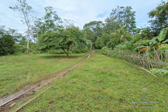 Image 2 from Stunning Touristic Zoning Land for Sale Leaseholnd in Prime Area Bingin