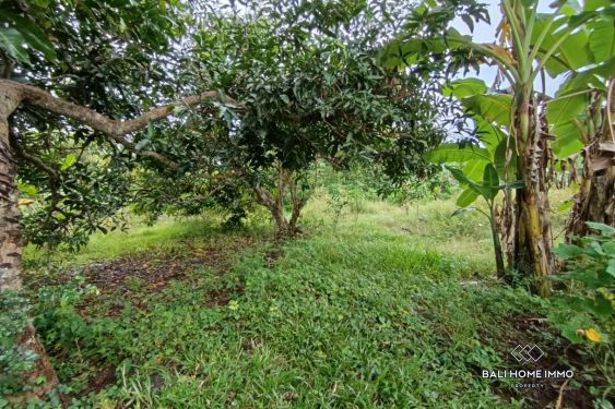 Image 3 from Stunning Touristic Zoning Land for Sale Leaseholnd in Prime Area Bingin