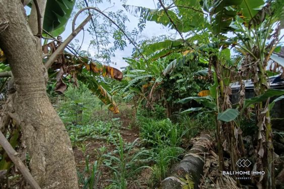 Image 3 from Touristic Zoning Land for Sale Leaseholnd in Prime Area Bingin