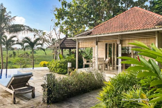 Image 2 from Villa Joglo de 1 chambres avec vue sur les rizières à louer à North Canggu, Bali