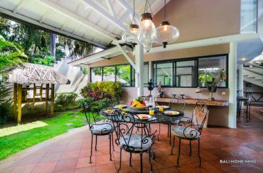 sam-catchpole-i-highly-recommend-bali-home-immo-1596771960